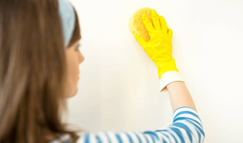 Woman in yellow gloves scrubbing wall