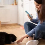 woman using a phone and a cat on the floor and other cat at back