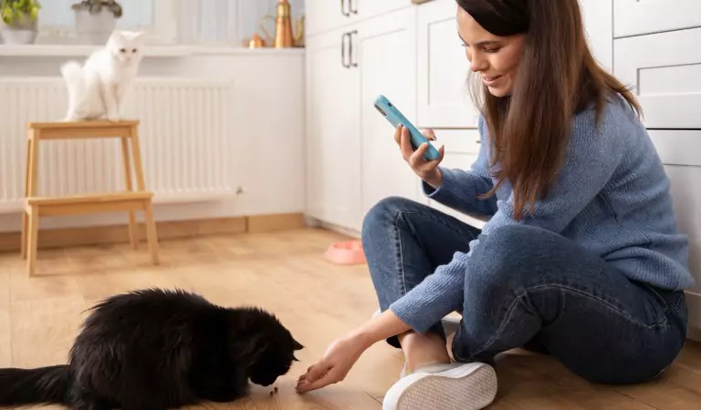 woman using a phone and a cat on the floor and other cat at back