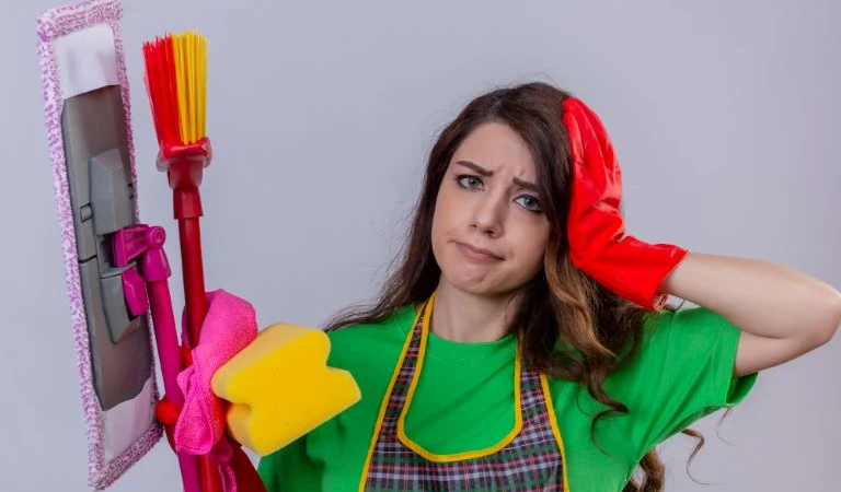 A woman holding cleaning equipments in her hands