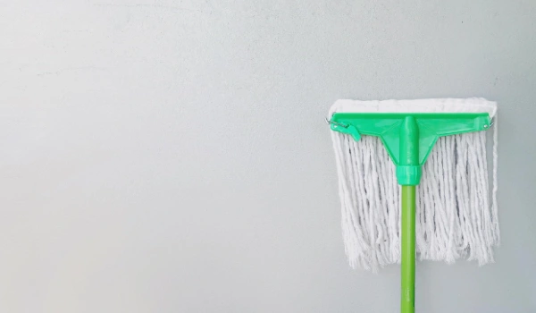 Close-up of mop against white wall