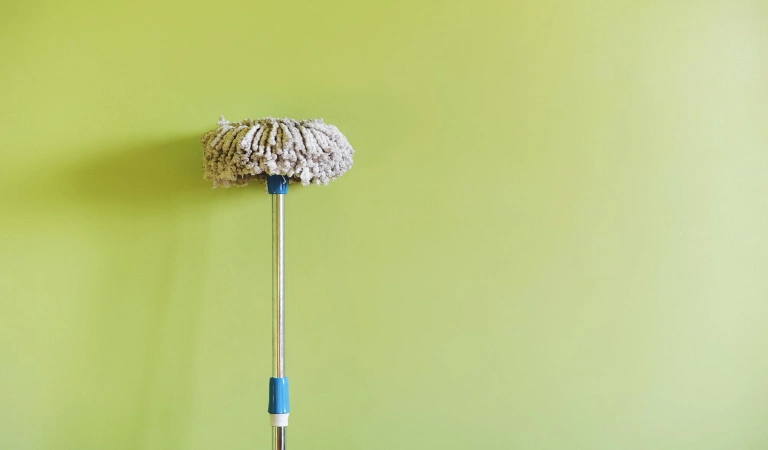 Close-up of mop laying on green wall