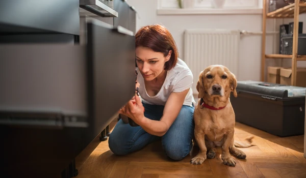 Fixing Visible Pet Related Damage and Marks