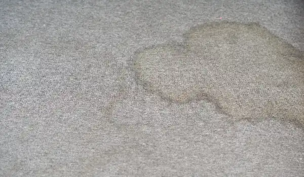 Dirty stain blot fleck of water on the fabric textile carpet dirty textile