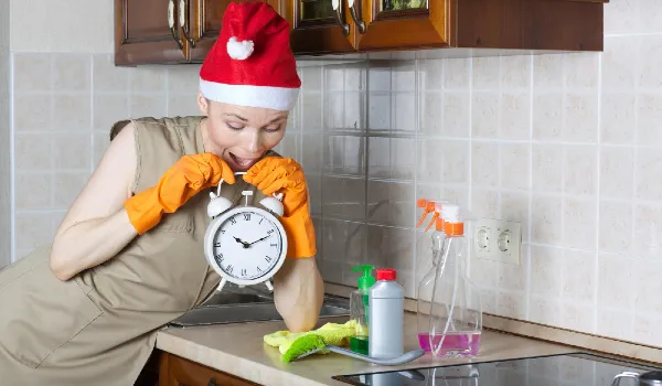 Young cleaning lady in the kitchen